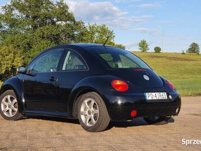 VW Beetle