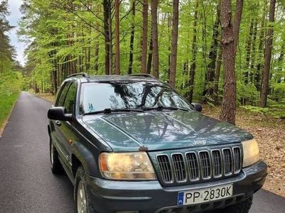 Zielony Używany 2002 Jeep Grand Cherokee SUV | 11 600 zł (Dobra cena)