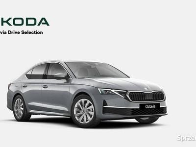 Srebrny Nowe 2026 Skoda Octavia Drive Sedan/Limuzyna | 142 900 zł (Uczciwa cena)