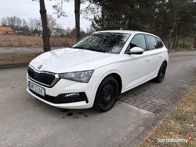 Używany Skoda Scala 116 KM (85 kW) 2020 Biały Hatchback