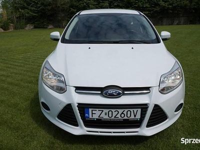 Używany Ford Focus 100 KM (73 kW) 2013 Biały Hatchback