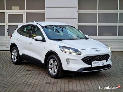 Używany Ford Kuga 2022 SUV