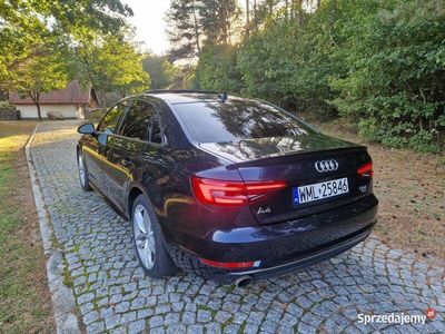 Używany Audi A4 2017