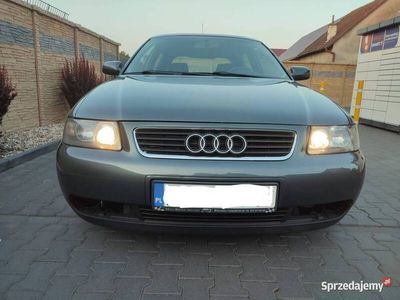 Używany 2003 Audi A3 | 10 500 zł (Uczciwa cena)