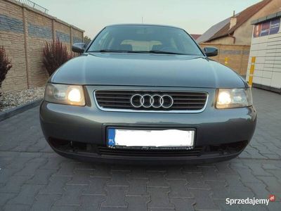 używany Audi A3 Quattro