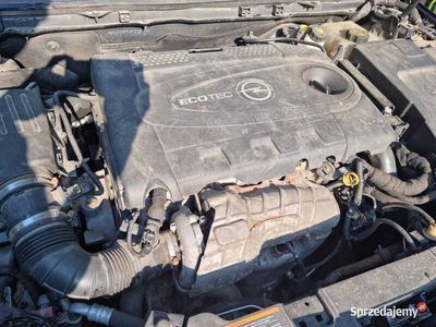 Używany 2009 Opel Insignia | 14 500 zł (Drogi)