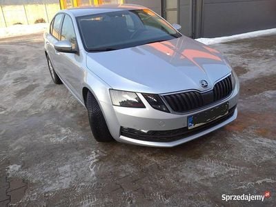 Używany Skoda Octavia 2019