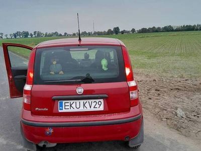 używany Fiat Panda 