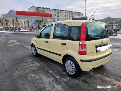 Używany Fiat Panda 2009 Hatchback