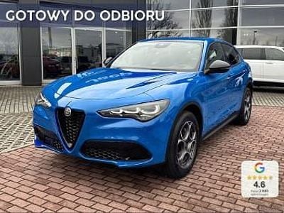 Niebieski Nowe 2025 Alfa Romeo Stelvio Sprint SUV | 255 800 zł