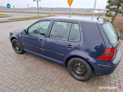 Używany 1999 VW Golf IV | 4300 zł (Drogi)