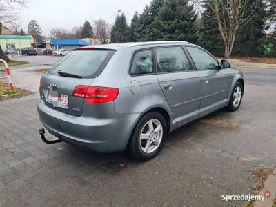 używany Audi A3 2010 1.6 tdi 105koni