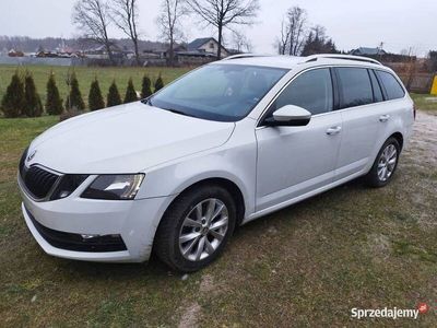 używany Skoda Octavia 2017