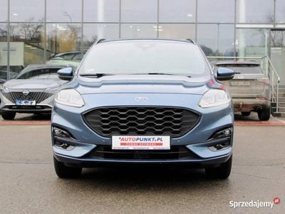 Używany Ford Kuga 2022 SUV