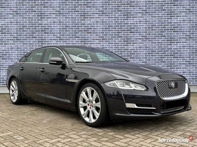 używany Jaguar XJ Autobiography