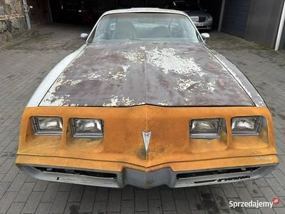 Srebrny Używany 1981 Pontiac Trans Am Coupe | 28 800 zł