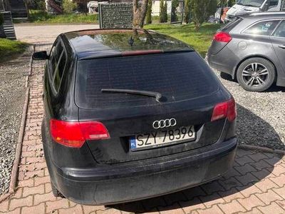 Używany 2004 Audi A3 | 11 500 zł (Dość drogi)