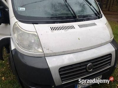 Używany Fiat Ducato 2012 Van