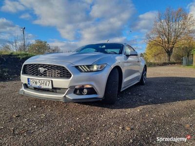 używany Ford Mustang 3.7 v6 2016r