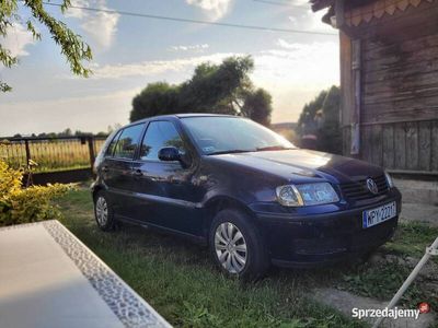 VW Polo