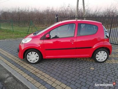 Używany Citroën C1 2005 Czerwony Hatchback