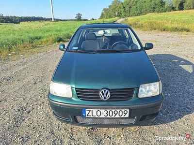 VW Polo