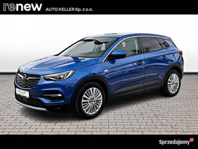 Niebieski Używany 2018 Opel Grandland X SUV | 65 000 zł (Dość drogi)