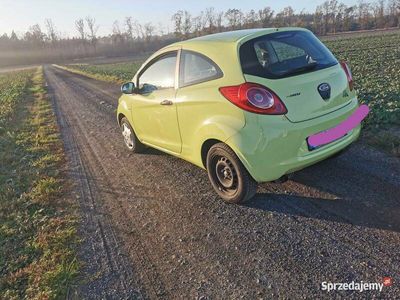 używany Ford Ka 1,2 benzyna