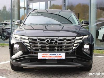 Używany 2024 Hyundai Tucson SUV | 134 900 zł (Drogi)