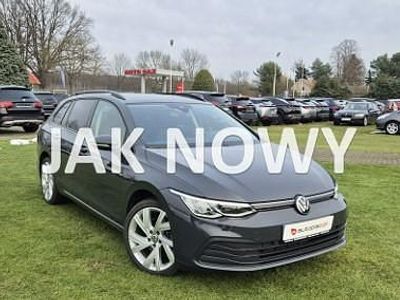używany VW Golf VIII Zarejestrowany