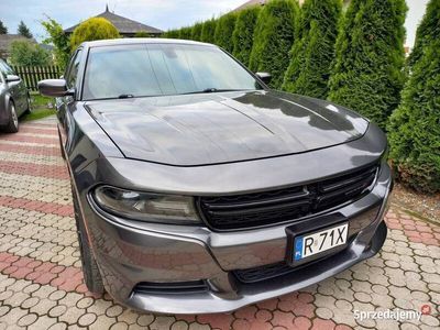 używany Dodge Charger Charger 2015 SXT 3.6 RWD ZF8HP2015 SXT 3.6 RWD ZF8HP