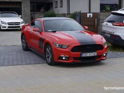 używany Ford Mustang 