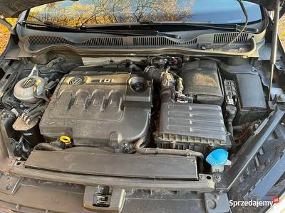 Używany 2015 VW Golf VII | 37 500 zł (Uczciwa cena)