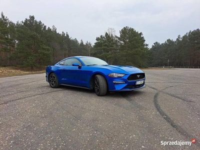 Używany 2020 Ford Mustang | 95 000 zł