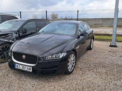 używany Jaguar XE I (2014-)