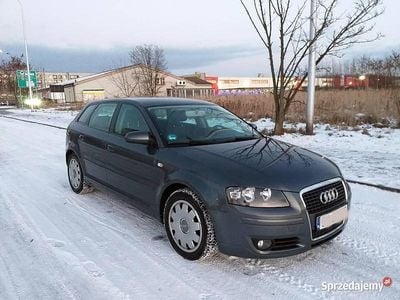 Szary Używany 2007 Audi A3 Sportback Hatchback | 16 500 zł (Uczciwa cena)