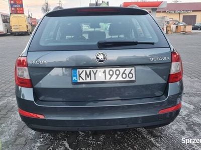 używany Skoda Octavia 1.6 TDI kombi