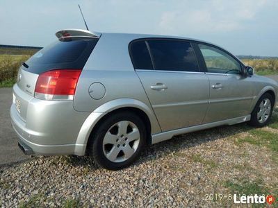 używany Opel Signum 