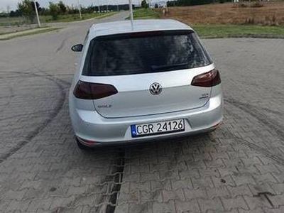 używany VW Golf VII 1.6tdi