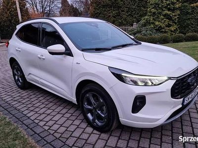 Używany 2023 Ford Kuga ST-Line SUV | 111 000 zł (Drogi)