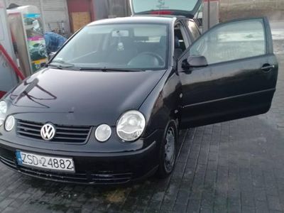 VW Polo