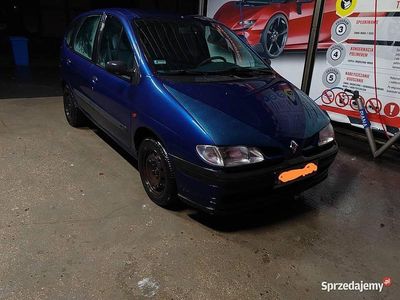 Granatowy Używany 1998 Renault Scénic Minivan | 2500 zł (Dość drogi)