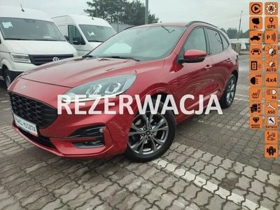 Bordowy (metalik) Używany 2021 Ford Kuga ST-Line SUV | 121 900 zł