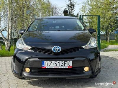 używany Toyota Prius 7osobowa