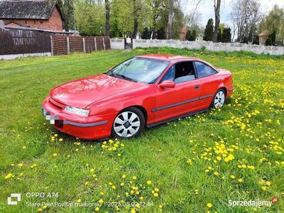 używany Opel Calibra Calibra 2.0 8v LPG 93r Sprzedam Zamienię2.0 8v LPG 93r Sprzedam Zamienię