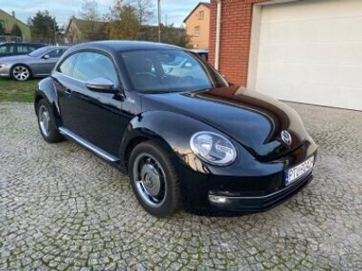 VW Beetle