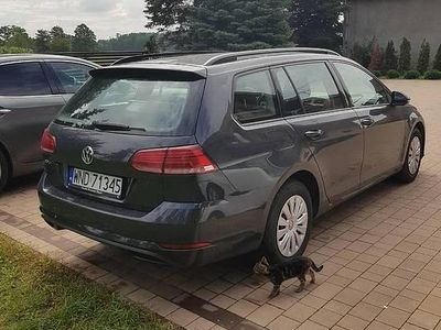 VW Golf VII