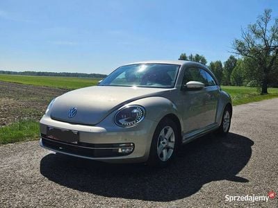 VW Beetle