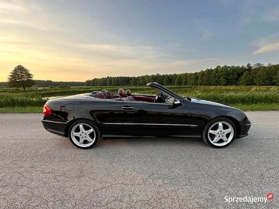 Czarny Używany 2004 Mercedes CLK500 Kabriolet | 47 000 zł