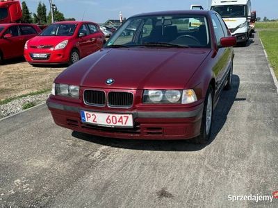 Używany 1995 BMW 316 | 15 000 zł